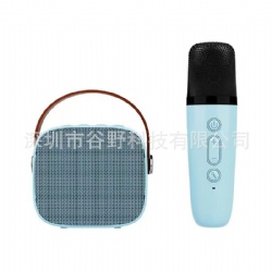 P2 Wireless Micphone
