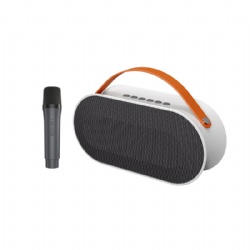 P10 Wireless Micphone